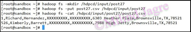 Step 2: pushing input csv file from local to HDFS